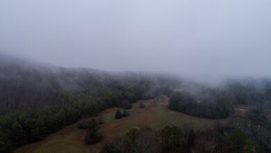 Fog over fields, illustrative landscape