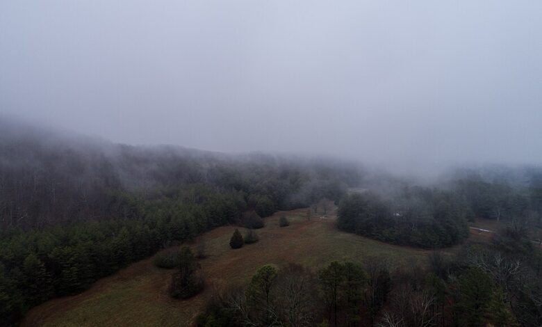 Fog over fields, illustrative landscape