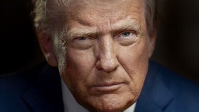 Official portrait of Donald Trump
