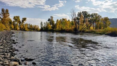 River landscape with rocks and trees, illustrative photograph